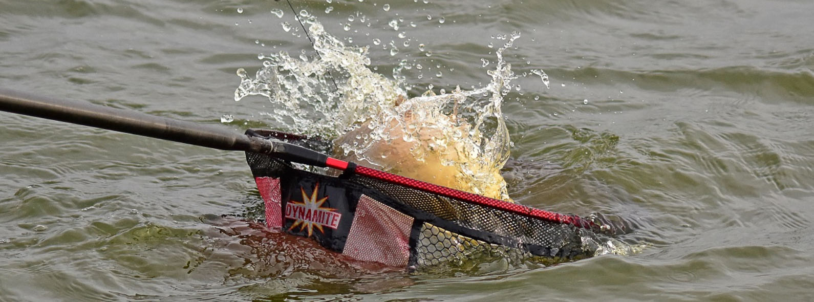 Korum -Korum VGNJGHJ